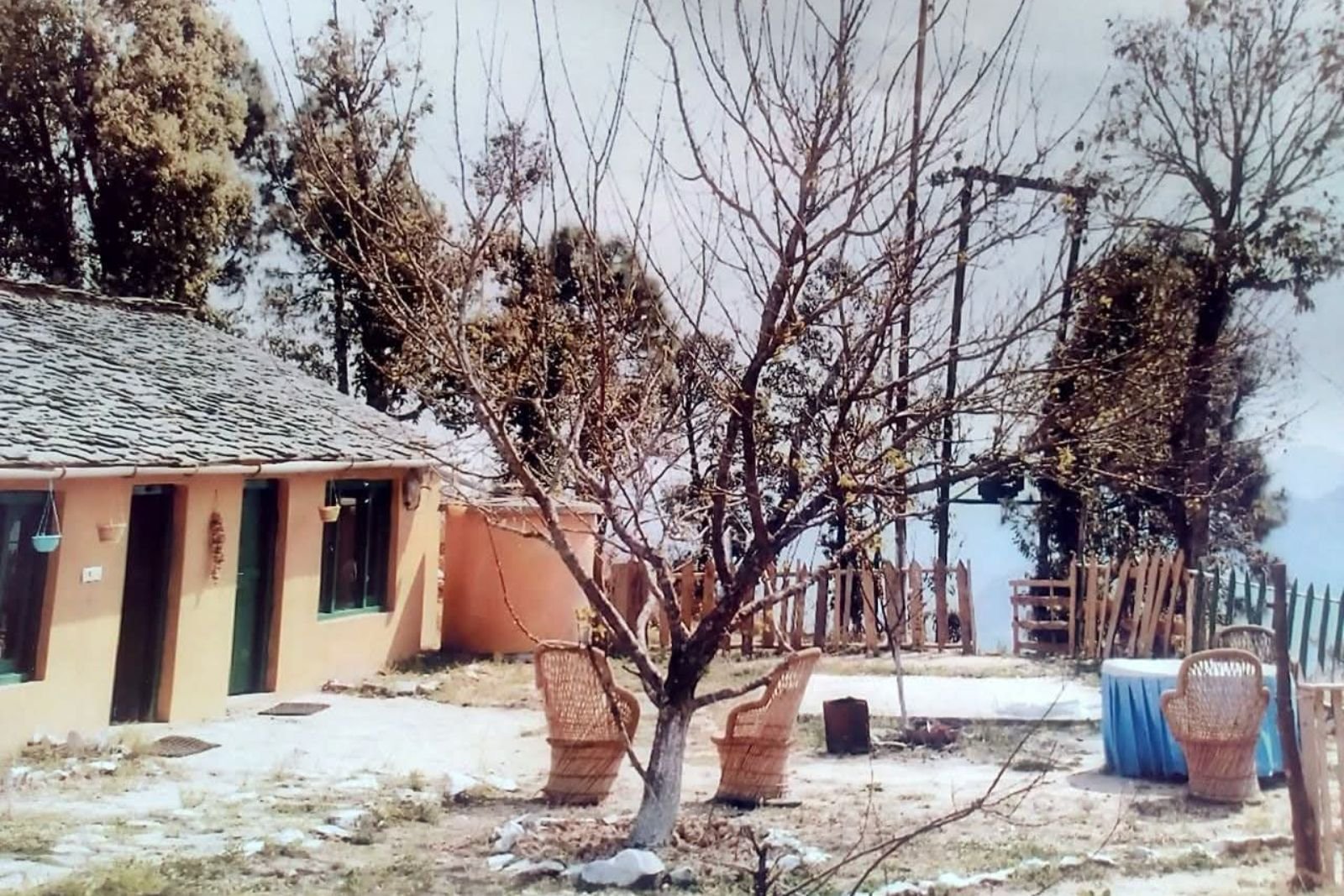 yoga-classes-in-rishikesh